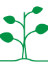 Logo plant based